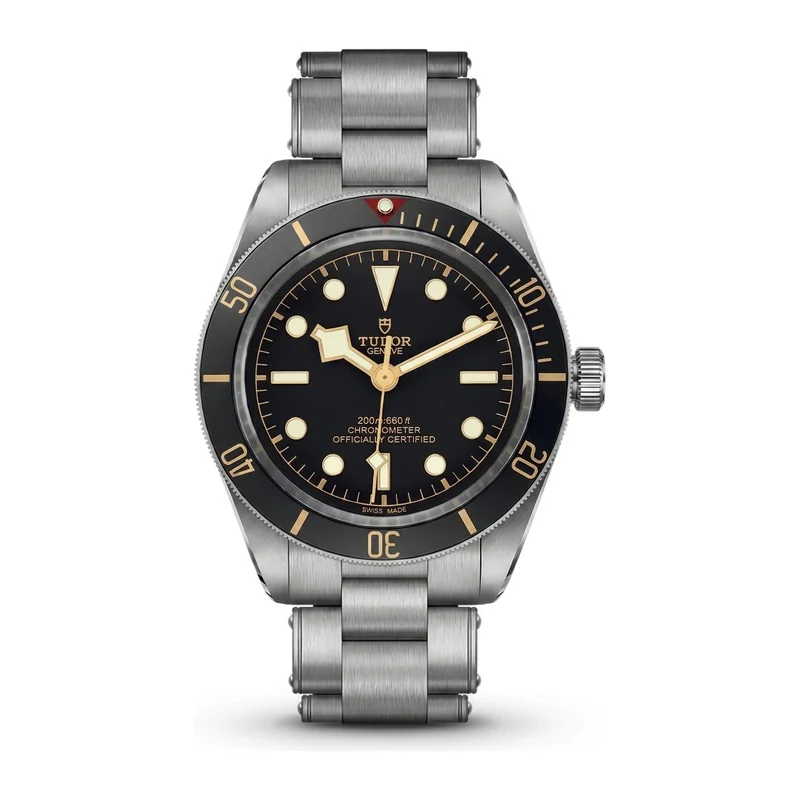 Tudor Black Bay 58 79030N